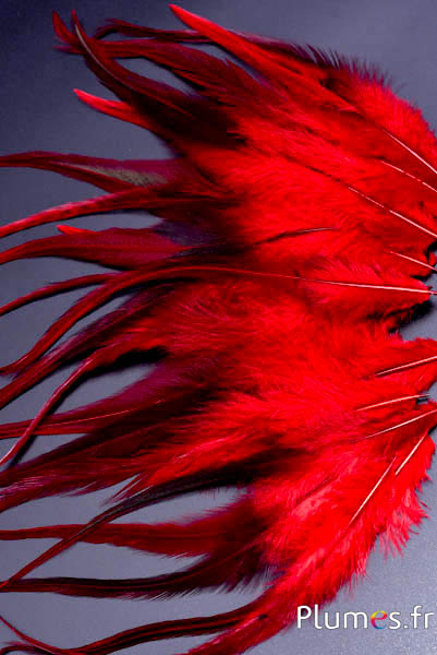 Hahnenkreuz - 17-21 cm - rot kaffee